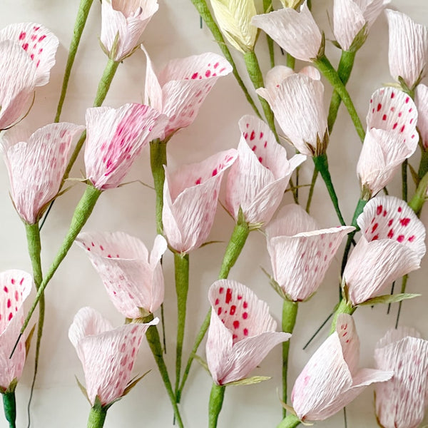 Krepppapierblumen: Unterschiede zu echten Blumen und Auswahlhilfe