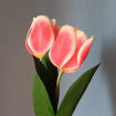 Krepppapier-Tulpenstrauß, handgefertigte Papierblumen, Deko, 30 cm, 1-12 Stiele