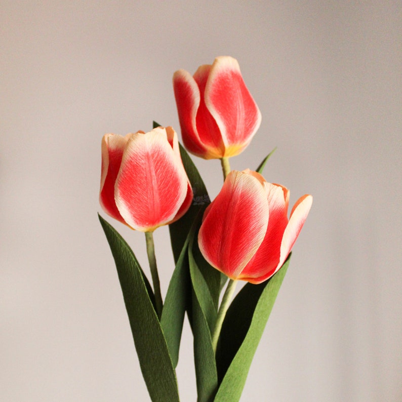 Krepppapier-Tulpenstrauß, handgefertigte Papierblumen, Deko, 30 cm, 1-12 Stiele