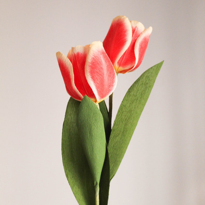 Krepppapier-Tulpenstrauß, handgefertigte Papierblumen, Deko, 30 cm, 1-12 Stiele