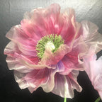 Übergroße Mohnblumen und Narzissen Organza Blumen Hintergrund Deko mit Beleuchtung, Frühlingsdekoration