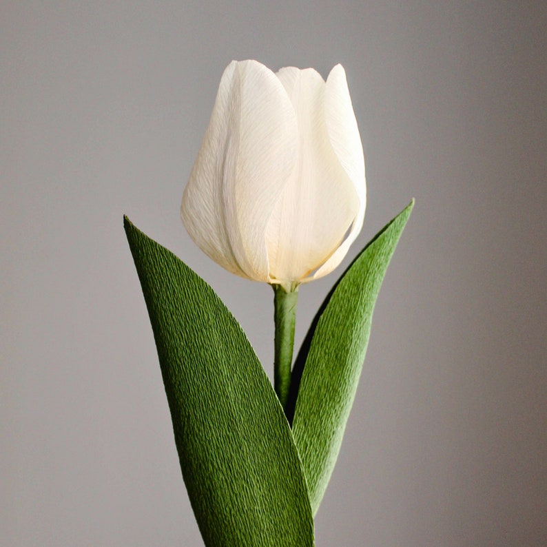 Krepppapier-Tulpenstrauß, handgefertigte Papierblumen, Deko, 30 cm, 1-12 Stiele