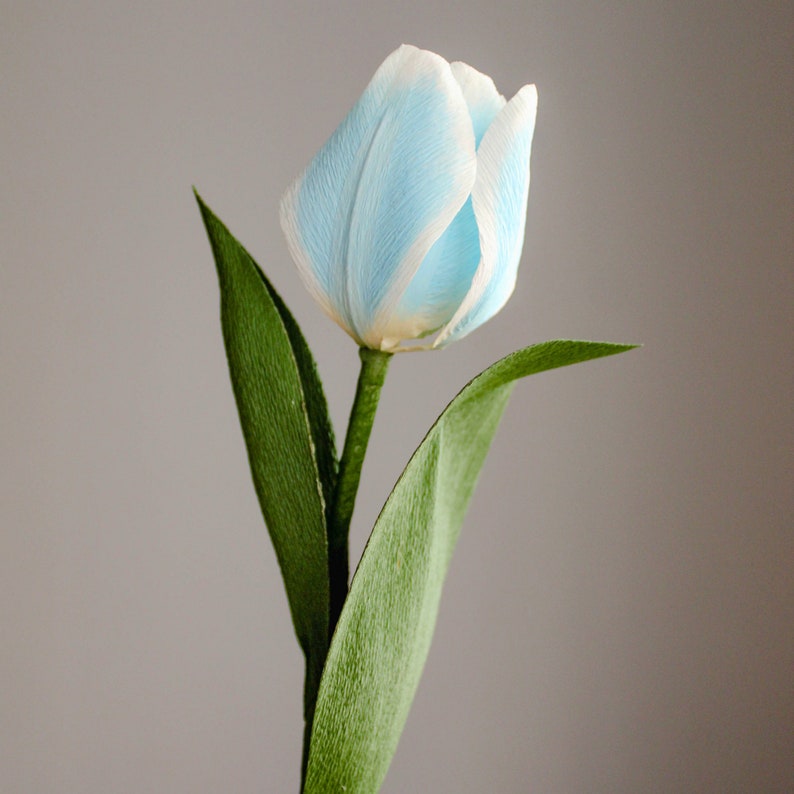 Krepppapier-Tulpenstrauß, handgefertigte Papierblumen, Deko, 30 cm, 1-12 Stiele