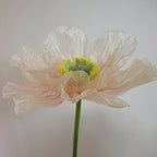 6 Organza Riesenmohnblumen mit 3 Knospen, Übergroße Blumen Hintergrunddekoration für Event & Fenster