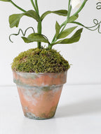 Krepppapier Wicke Pflanzenskulptur, Terrakotta Topf, Gartendeko, 62 cm