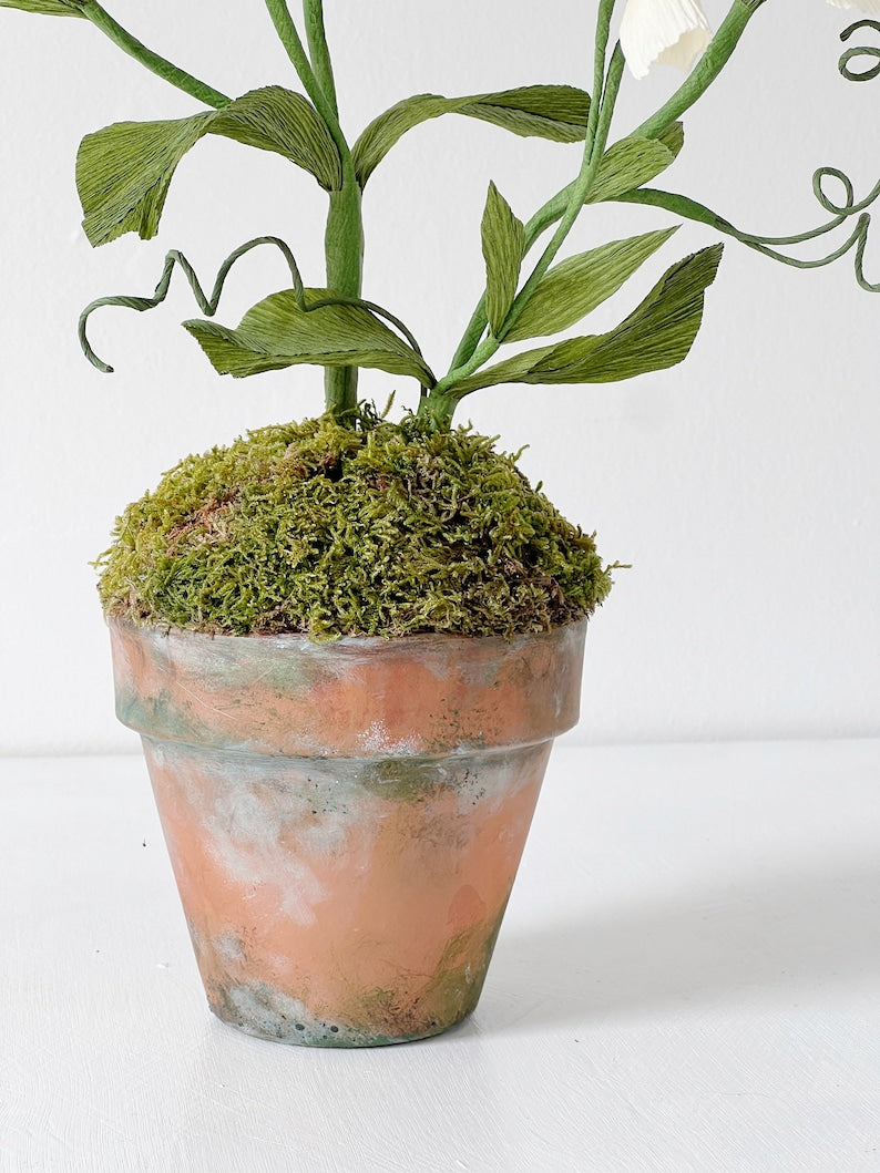 Krepppapier Wicke Pflanzenskulptur, Terrakotta Topf, Gartendeko, 62 cm