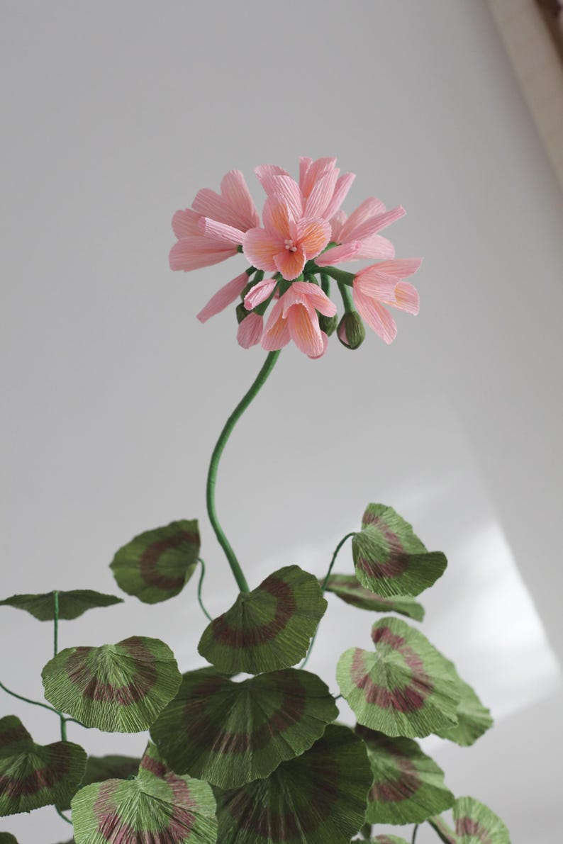 Geranie aus Krepppapier im Terrakotta Blumentopf, Rosa Papierblumen-Arrangement, 62 cm Hoch