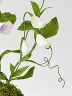 Krepppapier Wicke Pflanzenskulptur, Terrakotta Topf, Gartendeko, 62 cm