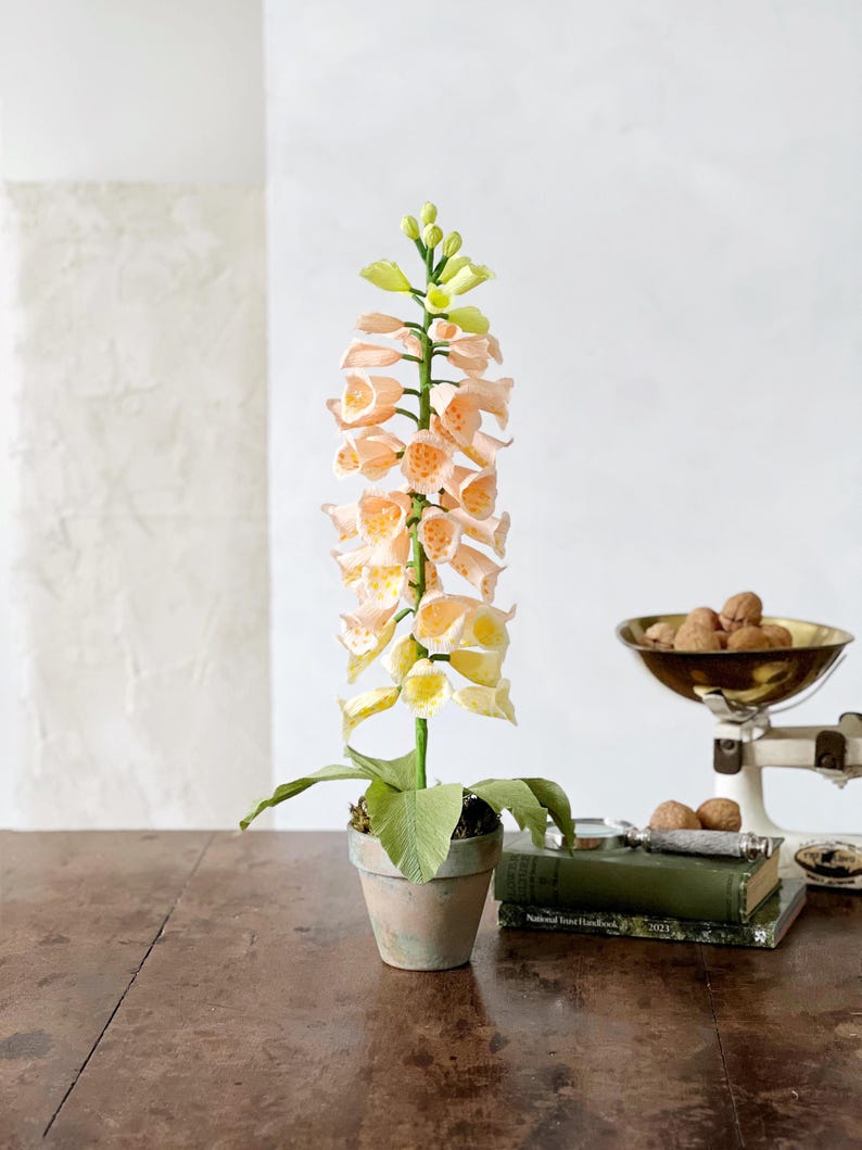 Dalmatiner Pfirsich Fingerhut Papierblume im Tontopf, 63 cm, Handbemalt