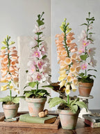 Dalmatiner Pfirsich Fingerhut Papierblume im Tontopf, 63 cm, Handbemalt