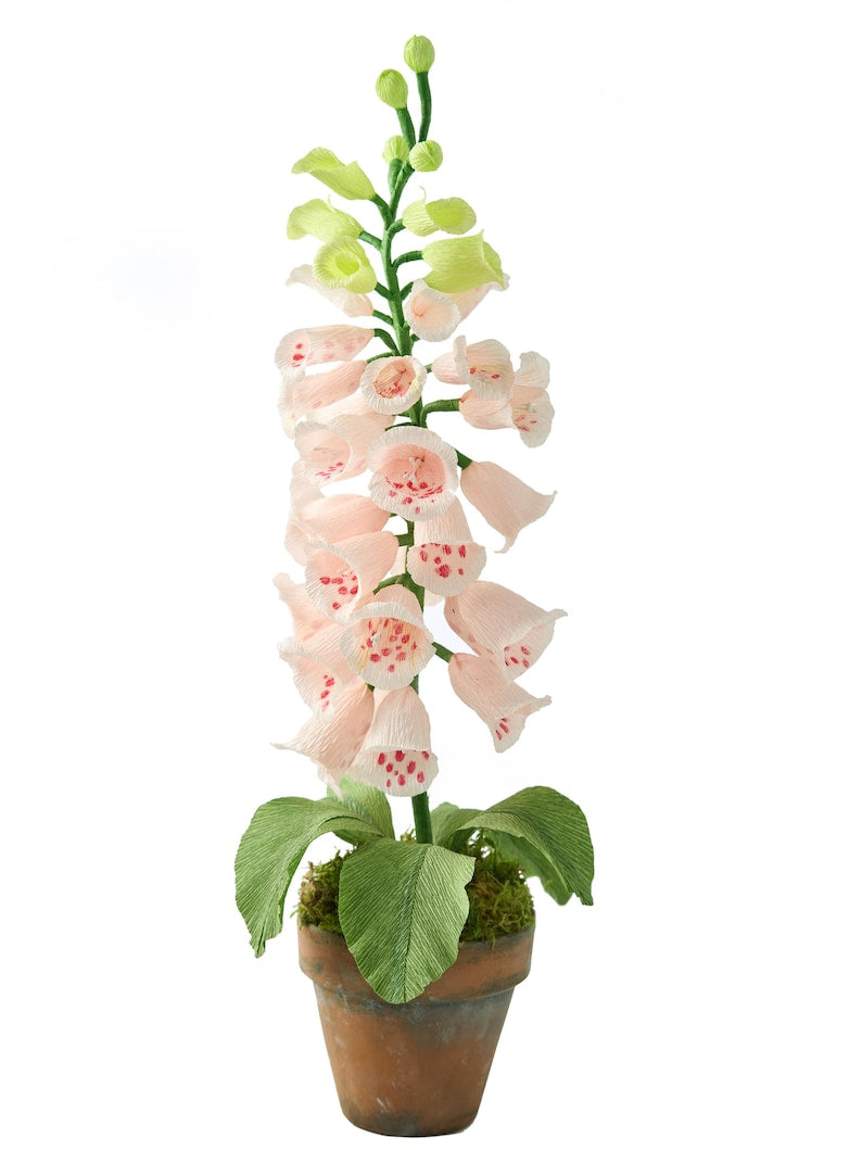 Handgemachter Crepe Paper Fingerhut im Terrakotta Blumentopf