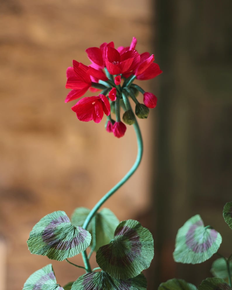 Rote Papiergeranie im Terrakottatopf, Englische Gartendekoration, 62 cm hoch