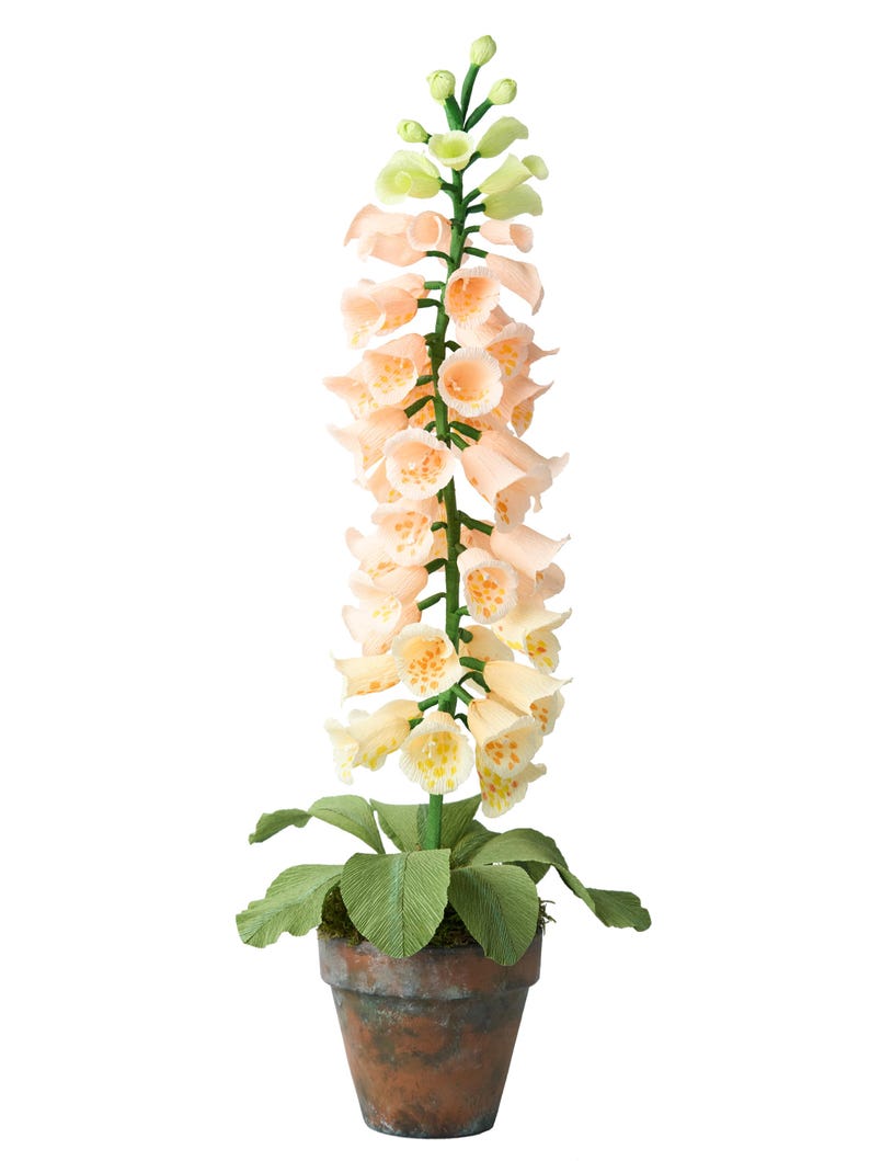 Dalmatiner Pfirsich Fingerhut Papierblume im Tontopf, 63 cm, Handbemalt