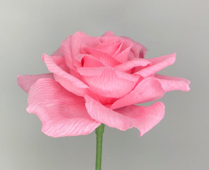 Krepppapier Rose Handgefertigt, 12 Zoll Stiel, 6 Zoll Blüte