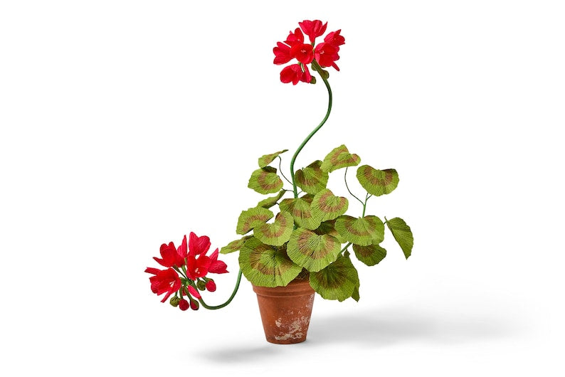 Rote Papiergeranie im Terrakottatopf, Englische Gartendekoration, 62 cm hoch