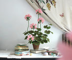 Große rosa Papiergeranie im Terrakottatopf 67 cm Krepppapierblume