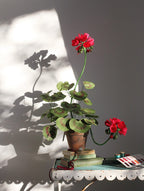 Rote Papiergeranie im Terrakottatopf, Englische Gartendekoration, 62 cm hoch