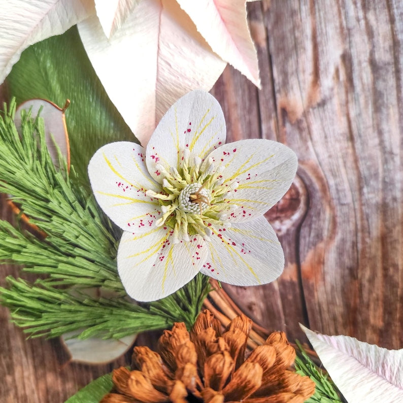 Weihnachtsstern-Kranz, Winter-Türdeko, Krepppapierblumen, Tannenzapfen, 40 cm, festliche Wanddekoration