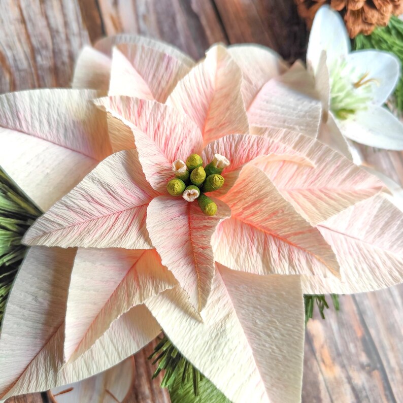 Weihnachtsstern-Kranz, Winter-Türdeko, Krepppapierblumen, Tannenzapfen, 40 cm, festliche Wanddekoration