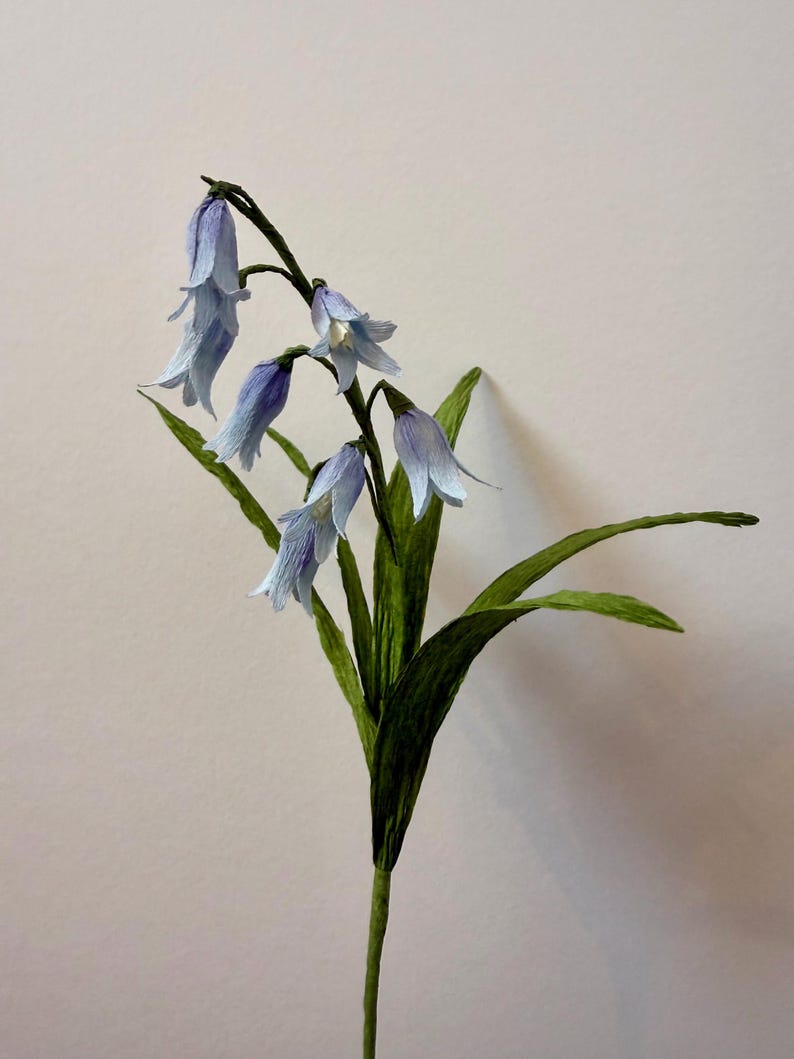 Krepppapier Glockenblume handgefertigt - einzelner Stiel oder Bündel