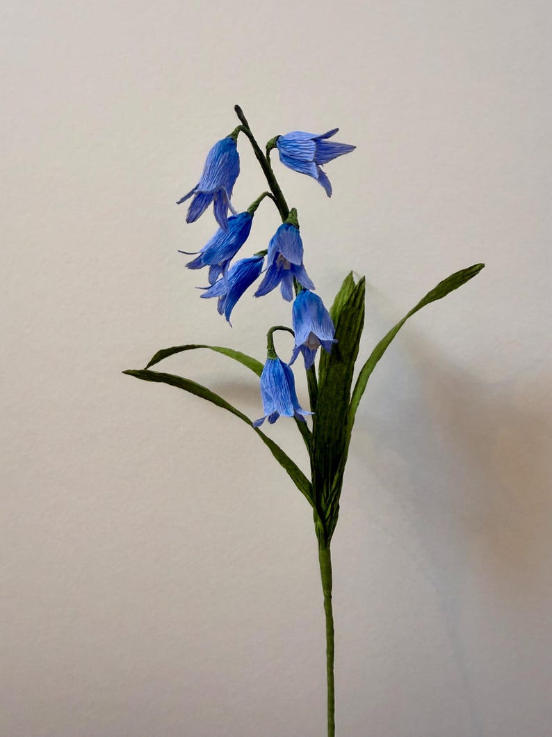 Krepppapier Glockenblume handgefertigt - einzelner Stiel oder Bündel