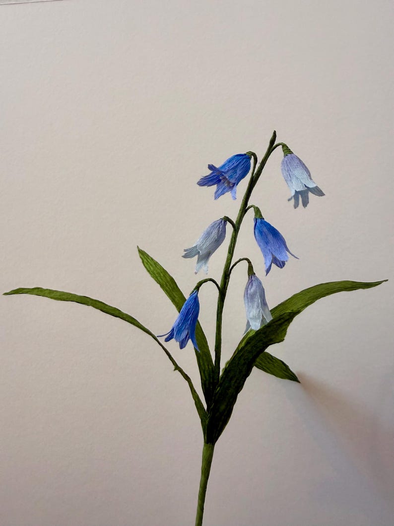 Krepppapier Glockenblume handgefertigt - einzelner Stiel oder Bündel