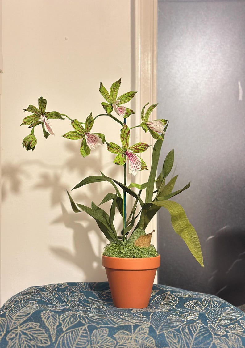 Handgemachte Krepppapier Orchidee im Terrakotta Topf, Zygopetalum & Dendrobium, Grün/Rosa, 50 cm, Kunstblume