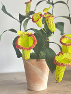 Kannenpflanze aus Krepppapier im Topf, realistische künstliche fleischfressende Pflanze, botanische Skulptur, 42 cm