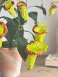 Kannenpflanze aus Krepppapier im Topf, realistische künstliche fleischfressende Pflanze, botanische Skulptur, 42 cm