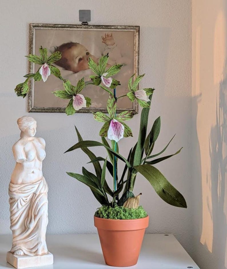 Handgemachte Krepppapier Orchidee im Terrakotta Topf, Zygopetalum & Dendrobium, Grün/Rosa, 50 cm, Kunstblume