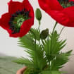 Roter Papiermohn im Topf, 20cm Durchmesser, 40cm Höhe, Keramiktopf, Metallstiel, handgefertigt